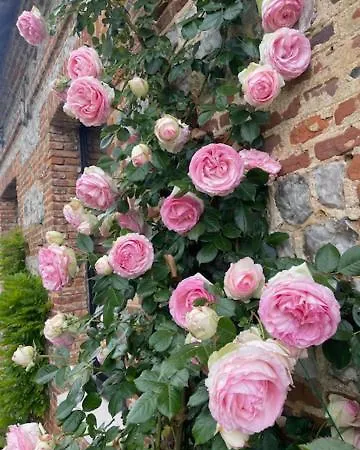 Σπίτι διακοπών Maison Familiale Dans Le Pays De Caux En Normandie Ouainville
